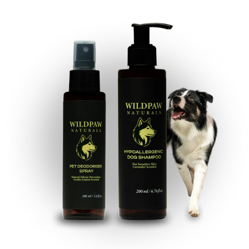 Better together Bundle (Shampoo + Deodoriser Spray)