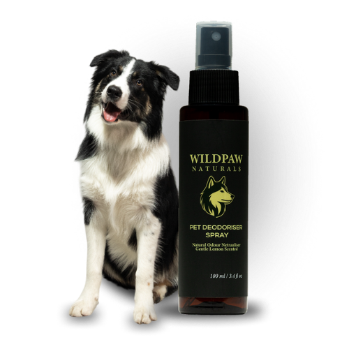 Pet Deodoriser Spray for Fresh, Clean & Happy Dogs