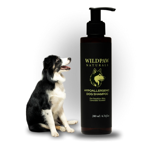 Gentle Shampoo for Everyday Dog Care